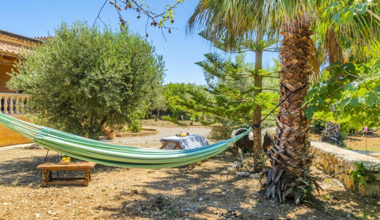 Сasa de vacaciones Ses Cames Roges